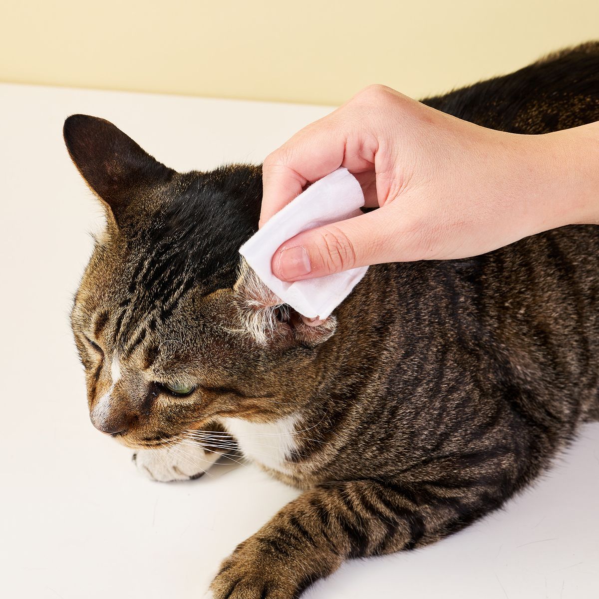 【2件裝】無負擔 寵物抗菌洗耳水 100ml 低敏感無香味配方（貓狗+小型動物適用）