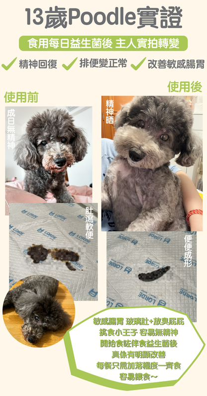 【兩件裝】寵物每日50億 益生菌伴食粉 100克 (腸胃保健 改善玻璃肚 貓狗適用 附送小匙羹 拌糧)