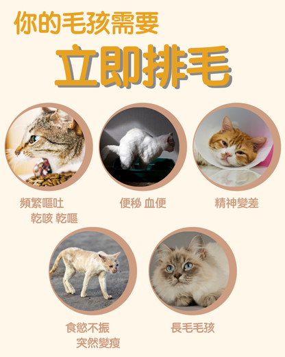 【兩件裝】益生排毛粉 50g (貓咪 無糖天然成份保健品拌貓糧粉 內附小匙羹)