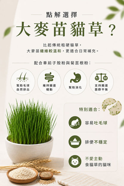 凍乾雞胸肉貓草餅 60克 (含三文魚油、牛磺酸、維他命)