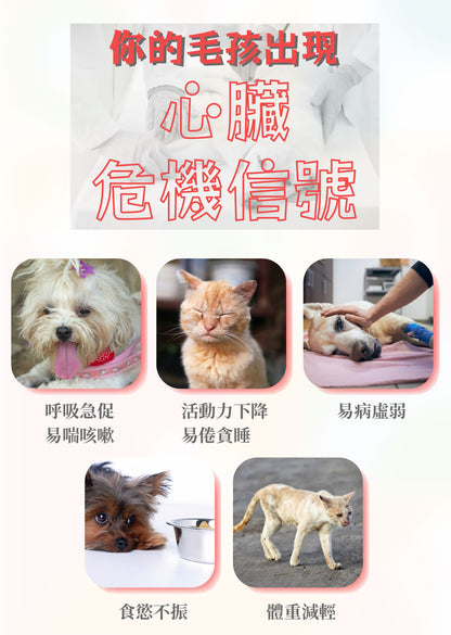 寵營加 Q牛離營養全能保健 50g 貓狗適用 (助心血管 每日維他命保健品 Q10+牛磺酸+離胺酸+魚油粉)