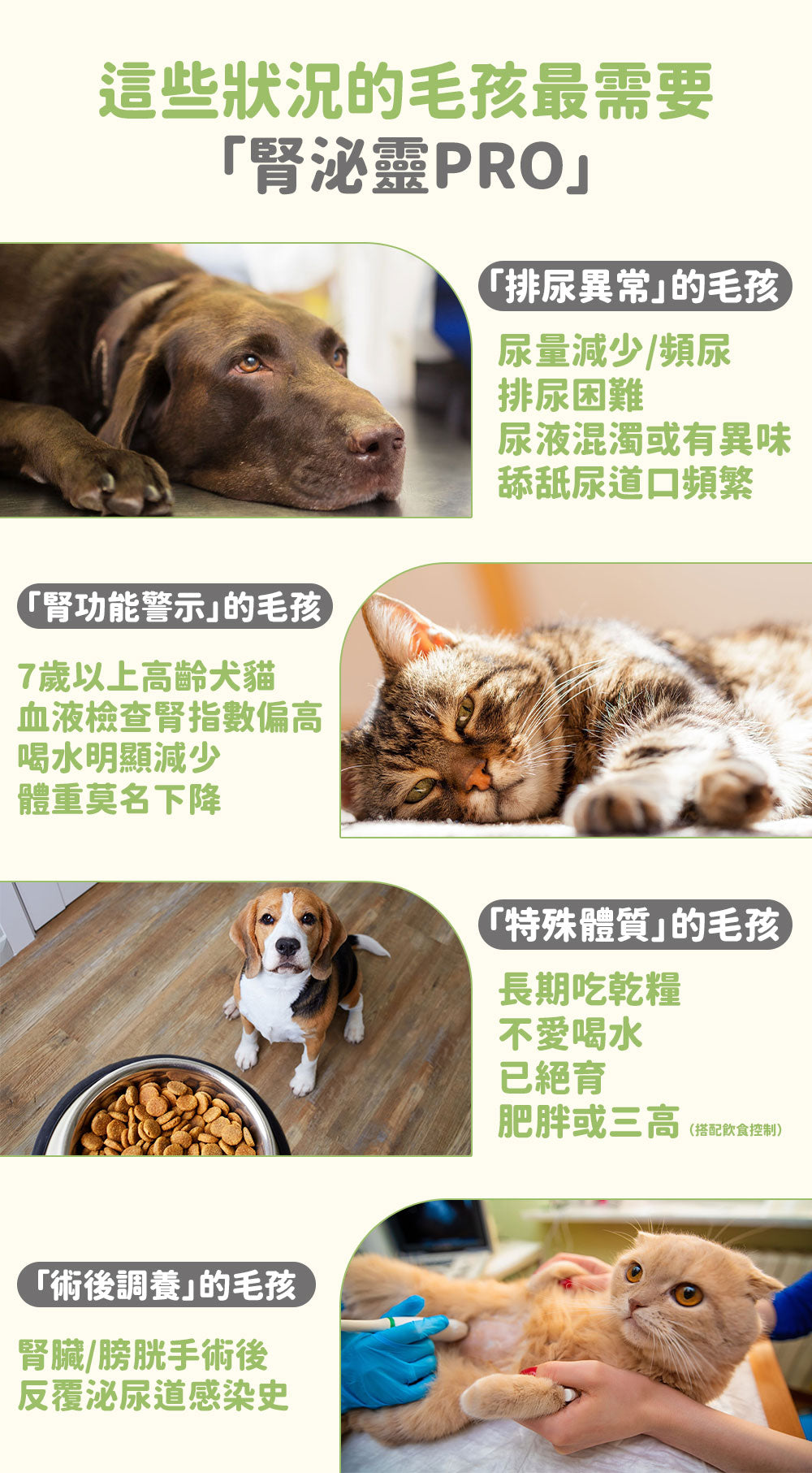 【2件裝】腎泌靈 雙效配方 50克 (寵物腎臟與泌尿道雙效保健）