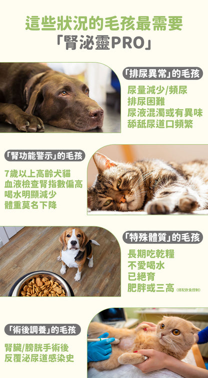 【2件裝】腎泌靈 雙效配方 50克 (寵物腎臟與泌尿道雙效保健）