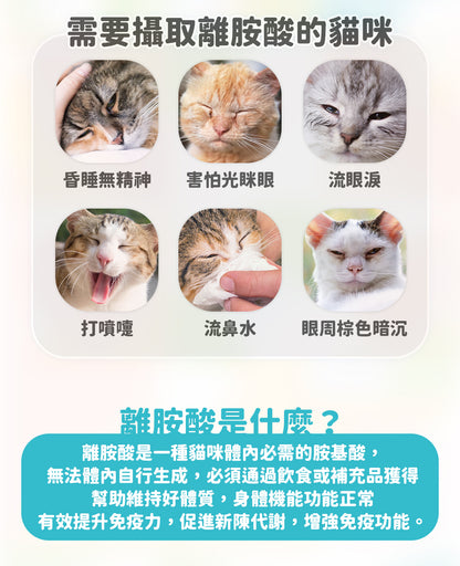 100%純離胺酸 60g (貓用保健品補充劑 附送小匙羹)