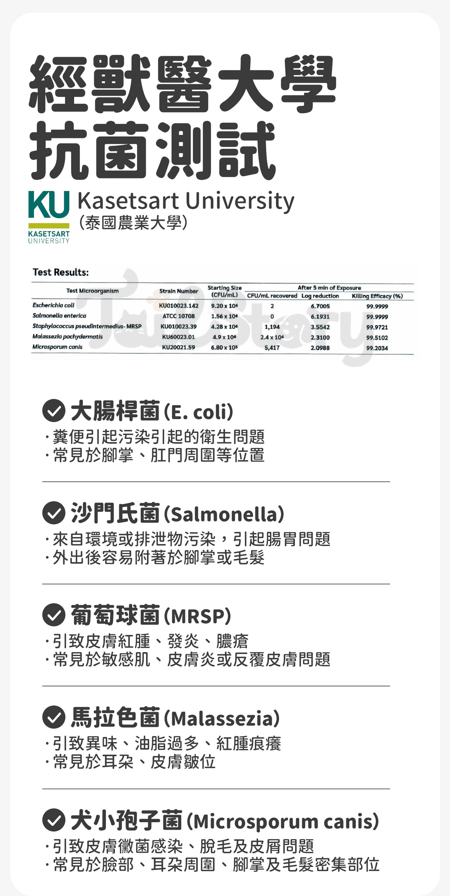 【2件裝】無負擔 寵物抗菌清潔泡泡 150ml（日常護理 除臭清新 舒敏保濕 肉墊護理）