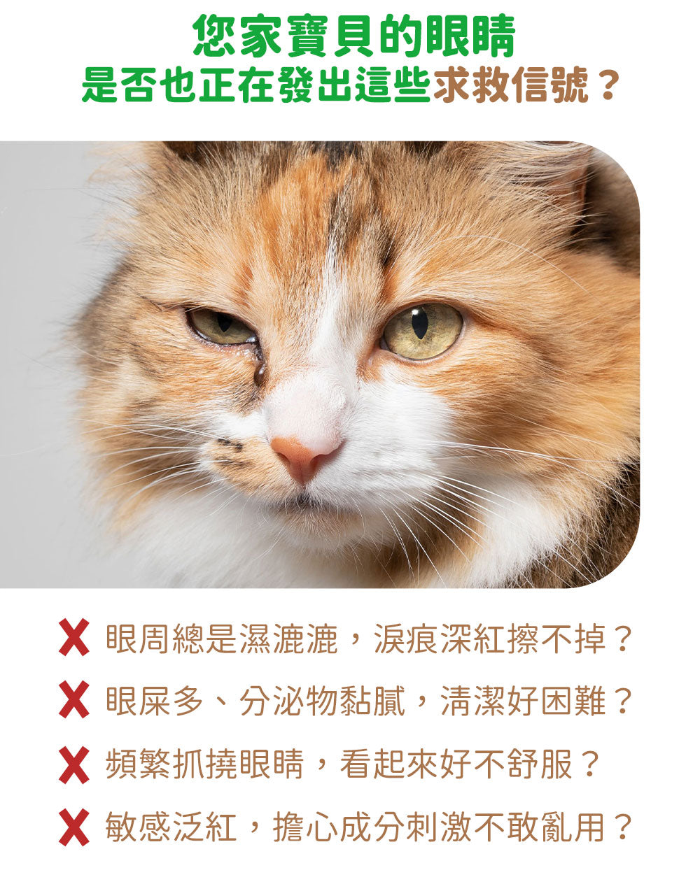 【2件裝】無負擔 抗敏潔眼液 100ml （日常護理 清潔淚痕 抗敏 抗炎 抗氧化 溫和保濕）