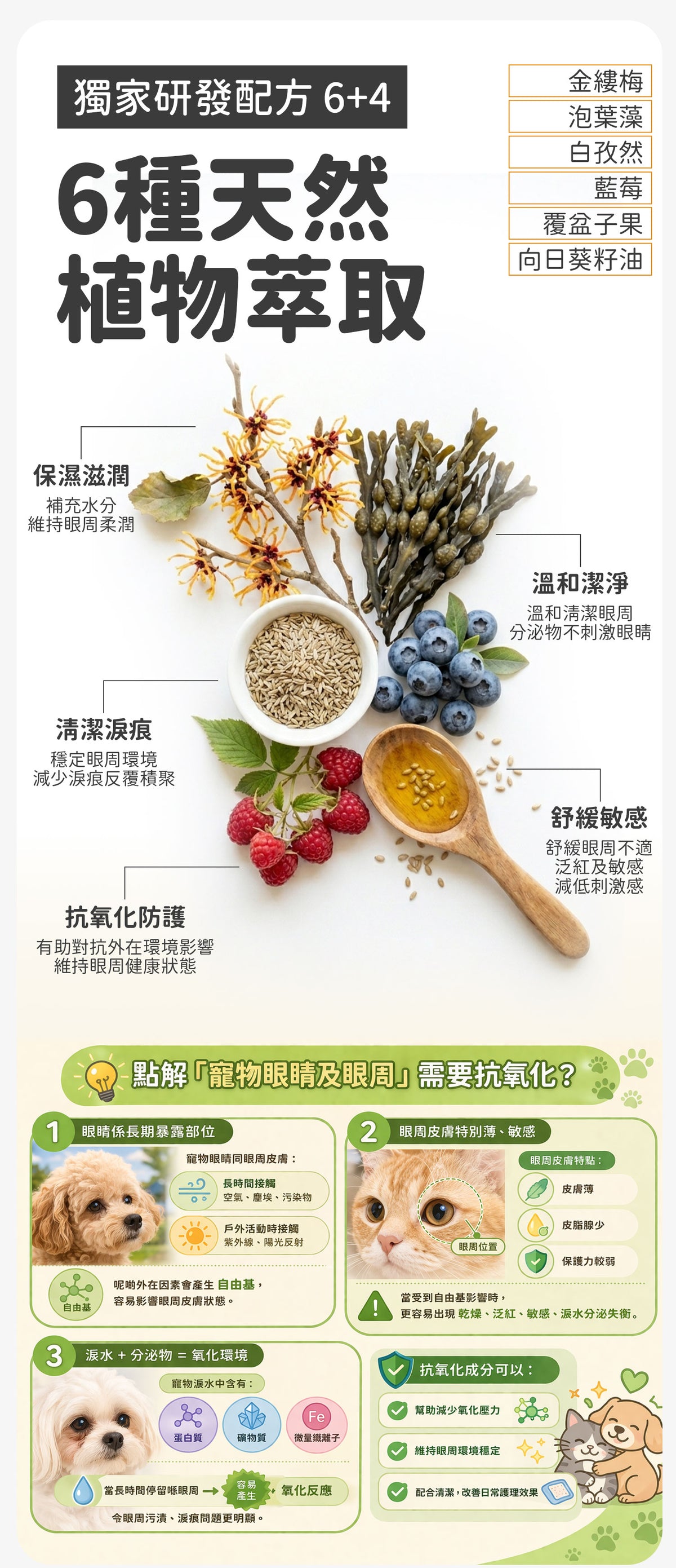 【2件裝】無負擔 抗敏潔眼液 100ml （日常護理 清潔淚痕 抗敏 抗炎 抗氧化 溫和保濕）