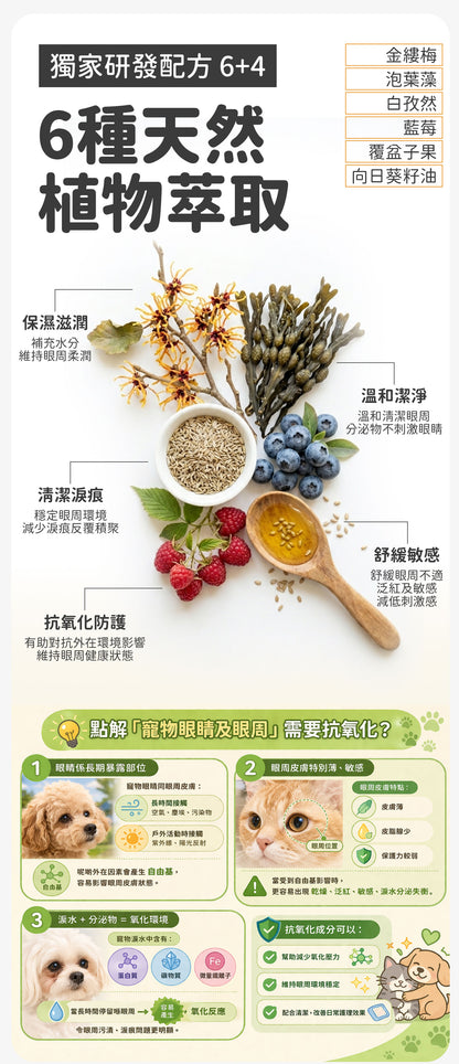 【2件裝】無負擔 抗敏潔眼液 100ml （日常護理 清潔淚痕 抗敏 抗炎 抗氧化 溫和保濕）